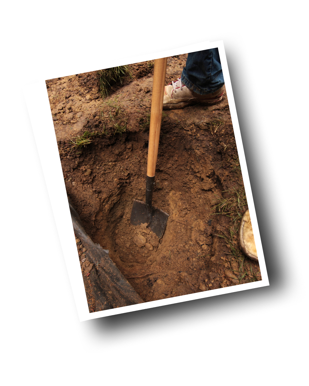 Disaster Ministries <br> Mission Team